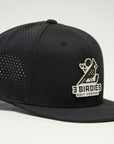Flat Brim/Snap Back